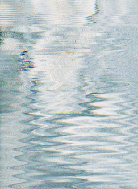 What to do if your Washing Machine is shaking?