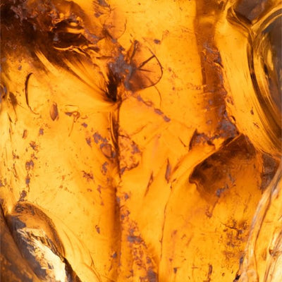Amber