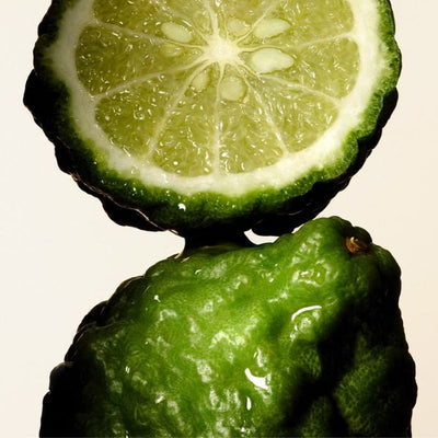 Bergamot